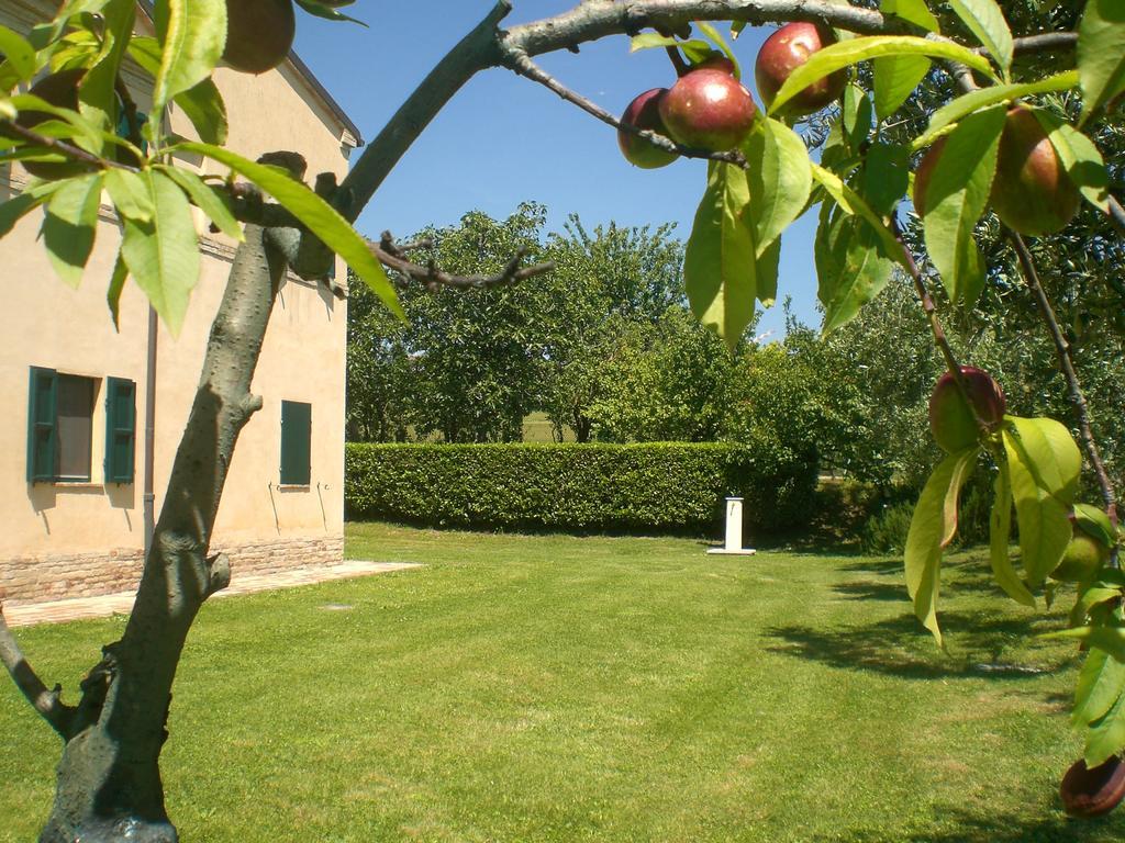 I Ciliegi Bed & Breakfast Osimo Exterior photo