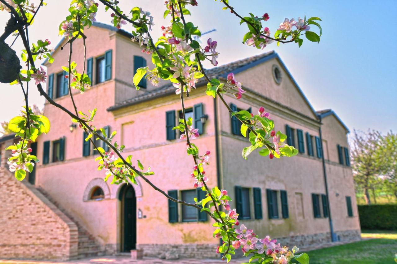 I Ciliegi Bed & Breakfast Osimo Exterior photo