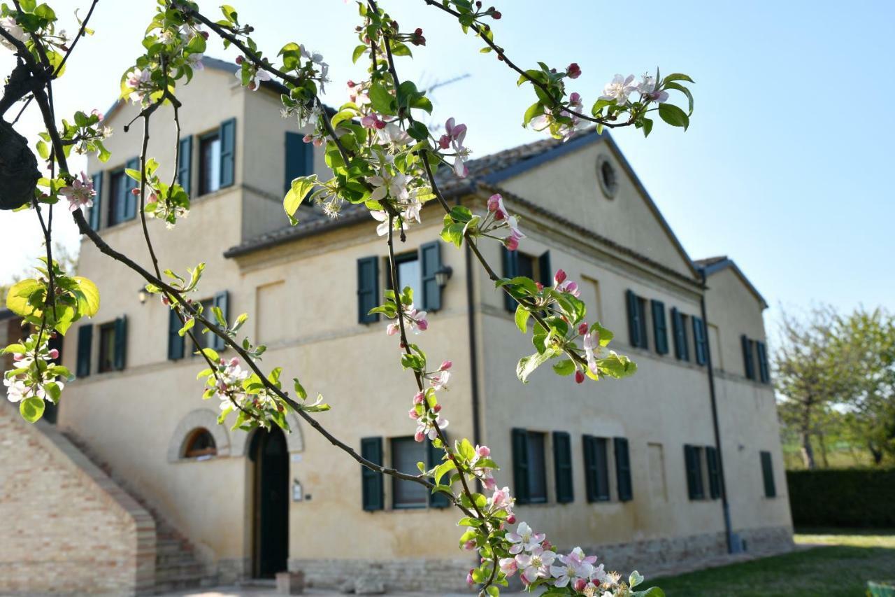 I Ciliegi Bed & Breakfast Osimo Exterior photo